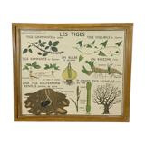 School poster by Rossignol double side