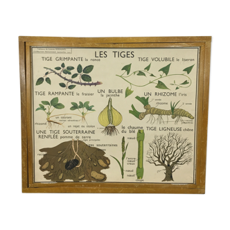 School poster by Rossignol double side