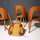 Fully renovated beech wood dining chairs, Czechoslovakia, set of 4