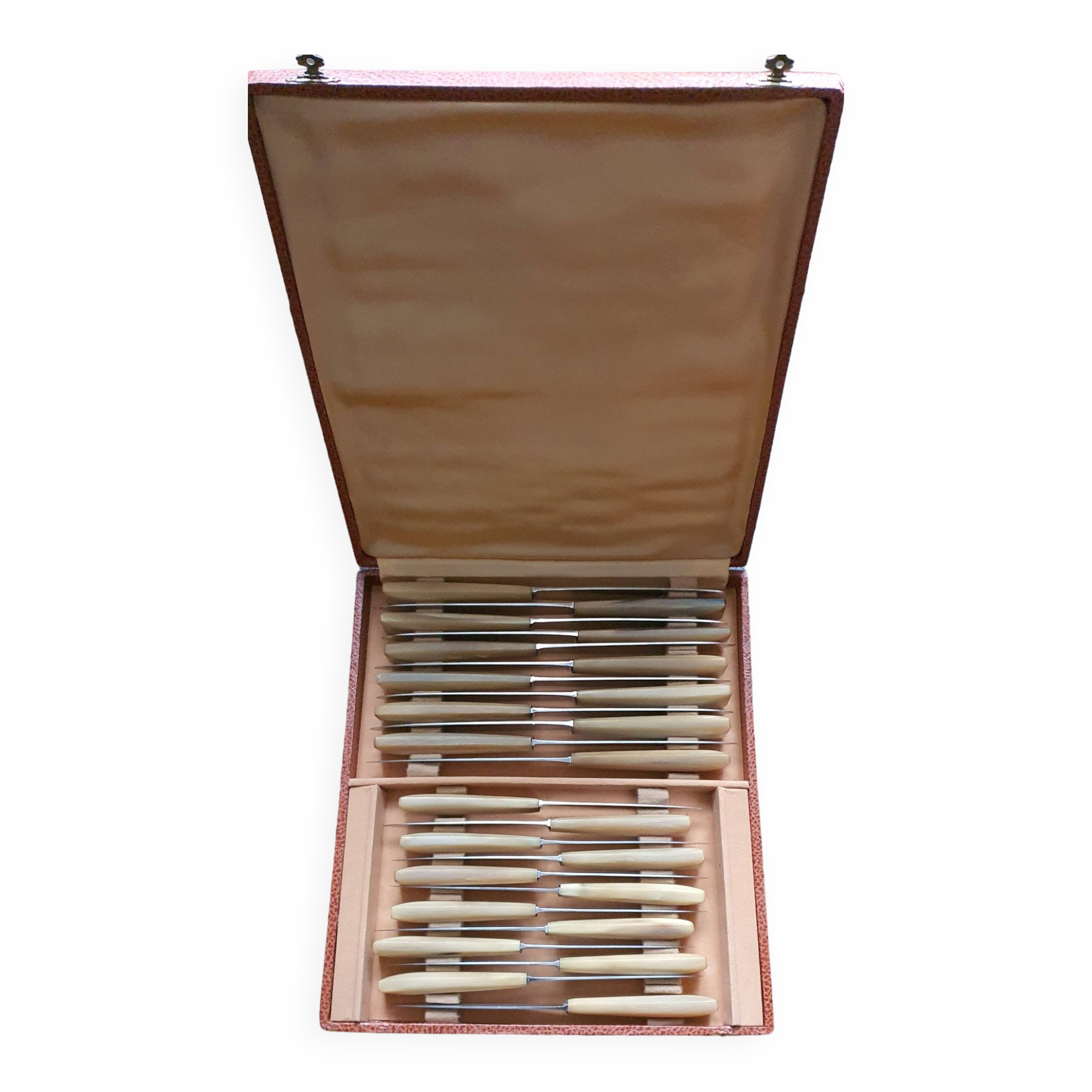Box of 24 horn and stainless steel knives