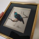 Framing a blue bird in feathers and painting
