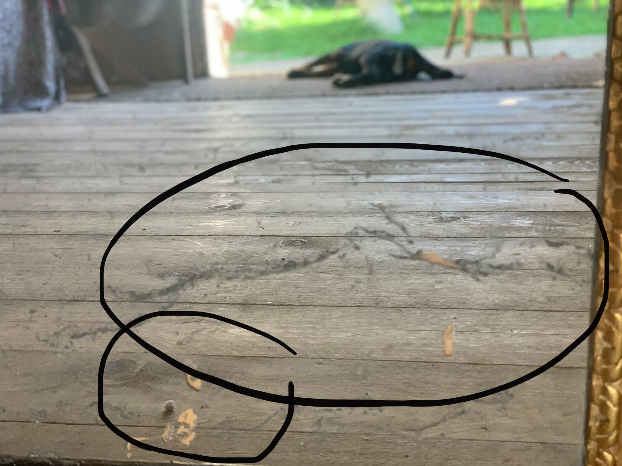 Vintage gilded wall mirror