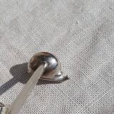 expensive silver metal snail door