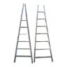 2 ladders