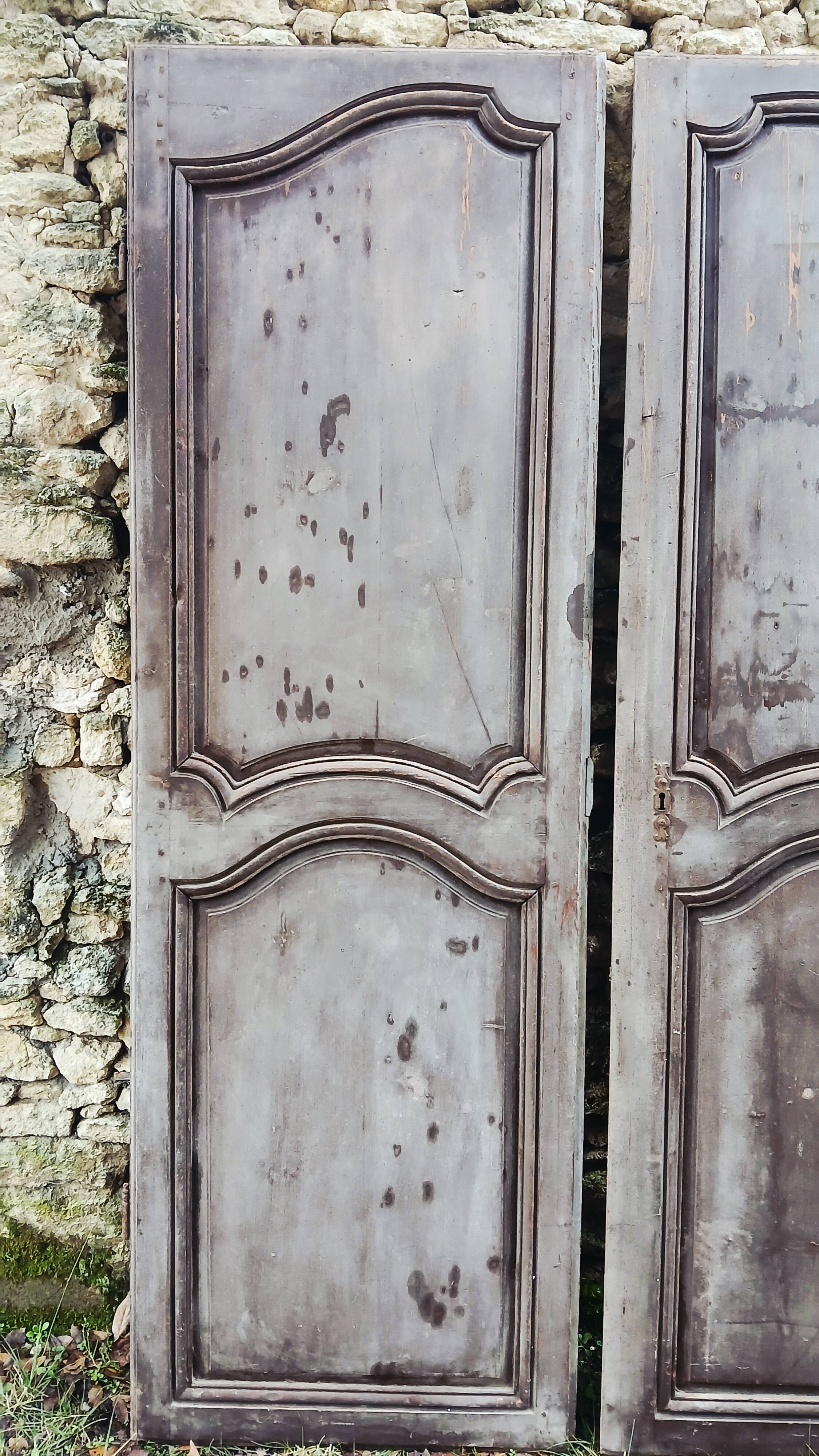 Pair of antique doors