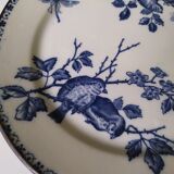 Assiette terre de fer