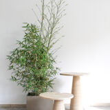 Pair of coffee tables