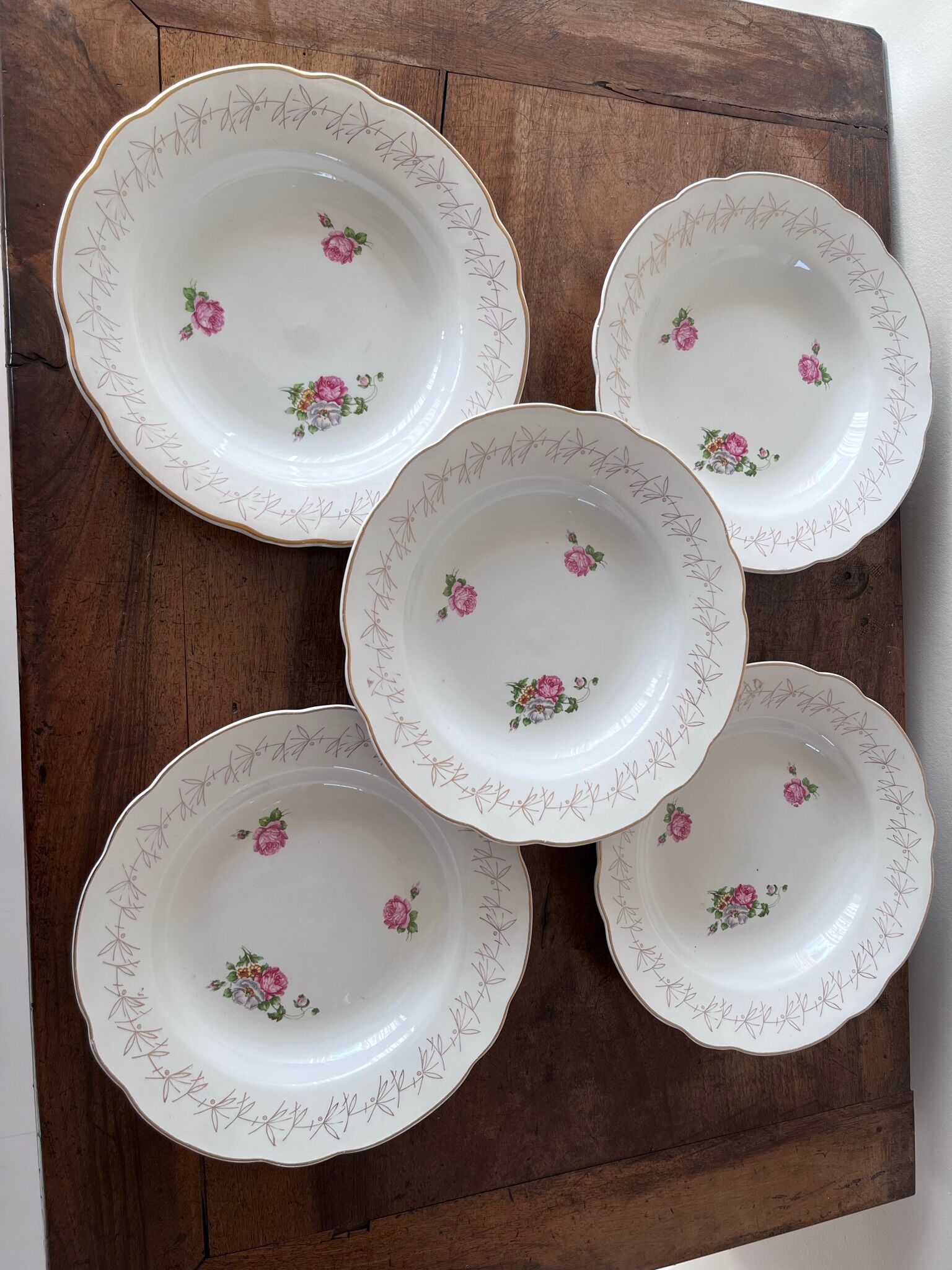 5 old hollow plates model "Oreste" by Digoin Sarreguemines