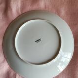 Tharaud Limoges Sem Phelandrii porcelain apothecary plate