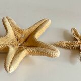 Vintage starfish