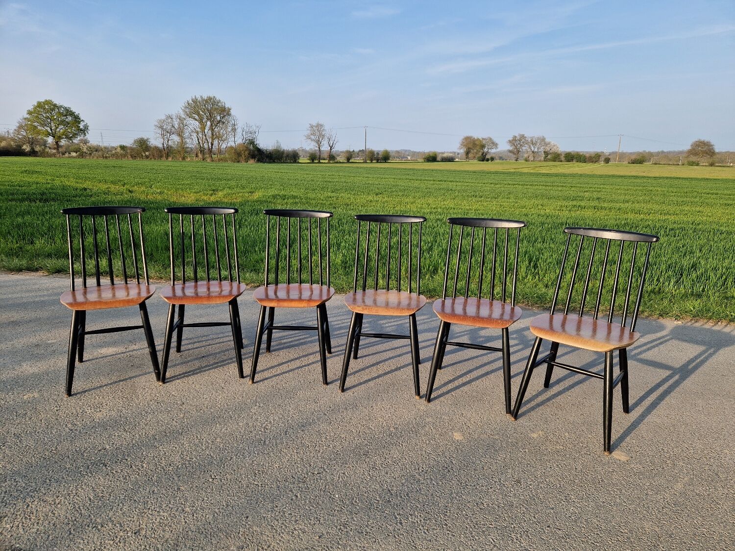 Set of 6 Fannett Scandinavian chairs by Ilmari Tapiovaara 1960.