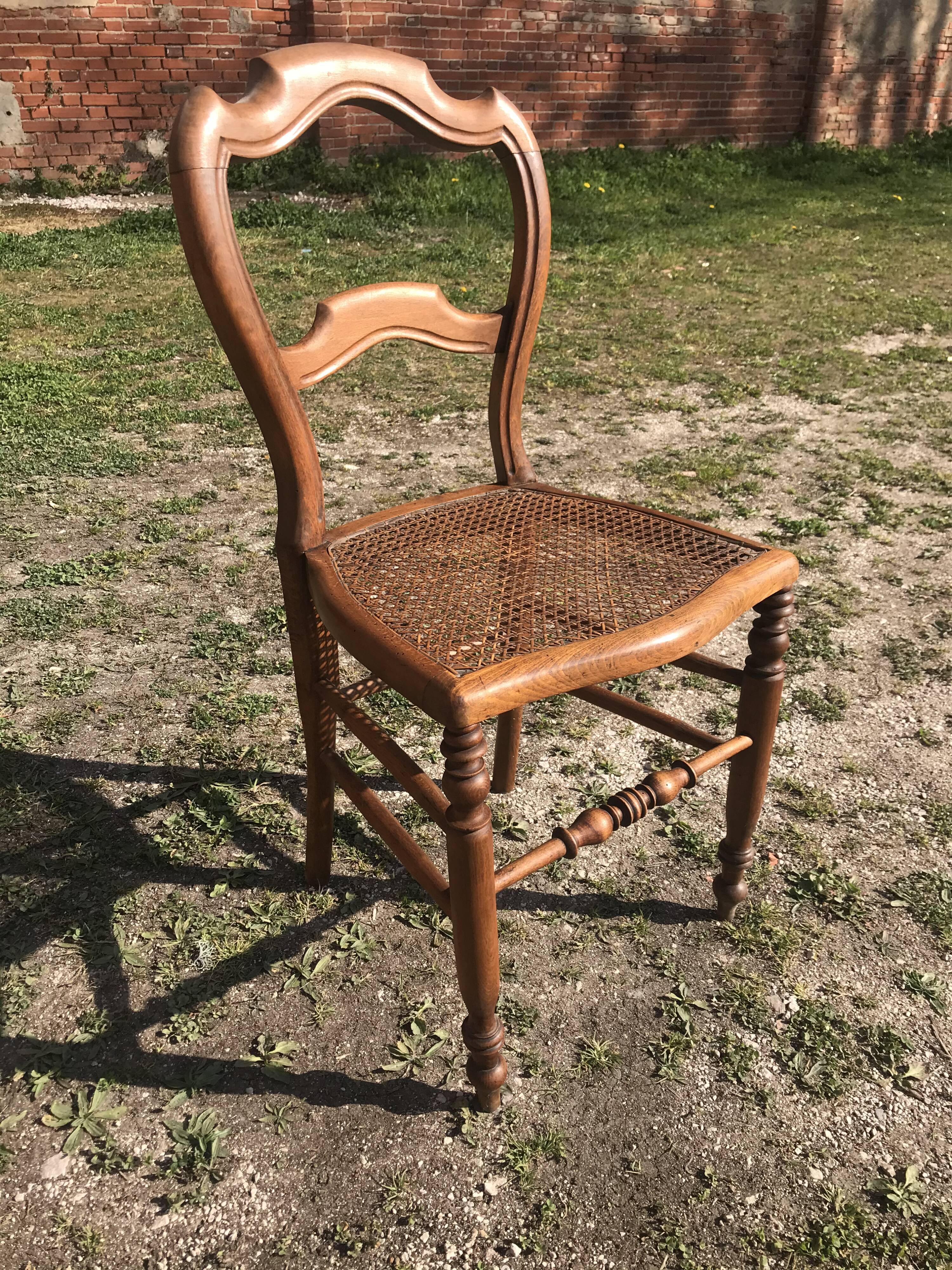 Suite de 6 chaises cannées Louis Philippe