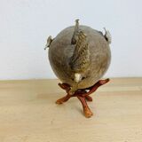 Pentadon globe fish naturalized on base cabinet of curiosity