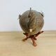 Pentadon globe fish naturalized on base cabinet of curiosity
