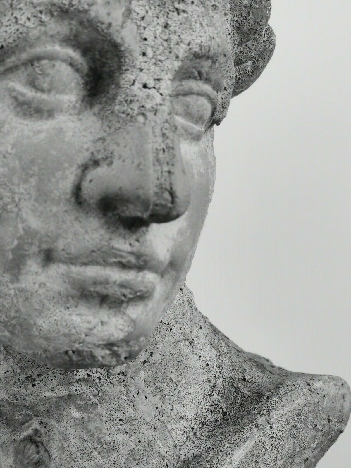 Antique 19th/20th century substantial terracotta Roman Michelangelo David Bust