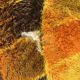 Vintage Desso carpet 70s 350x250cm