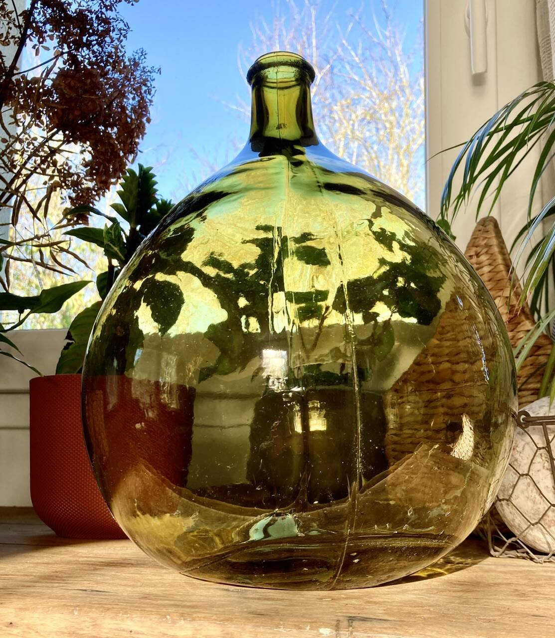 10L demijohn in a pretty olive green