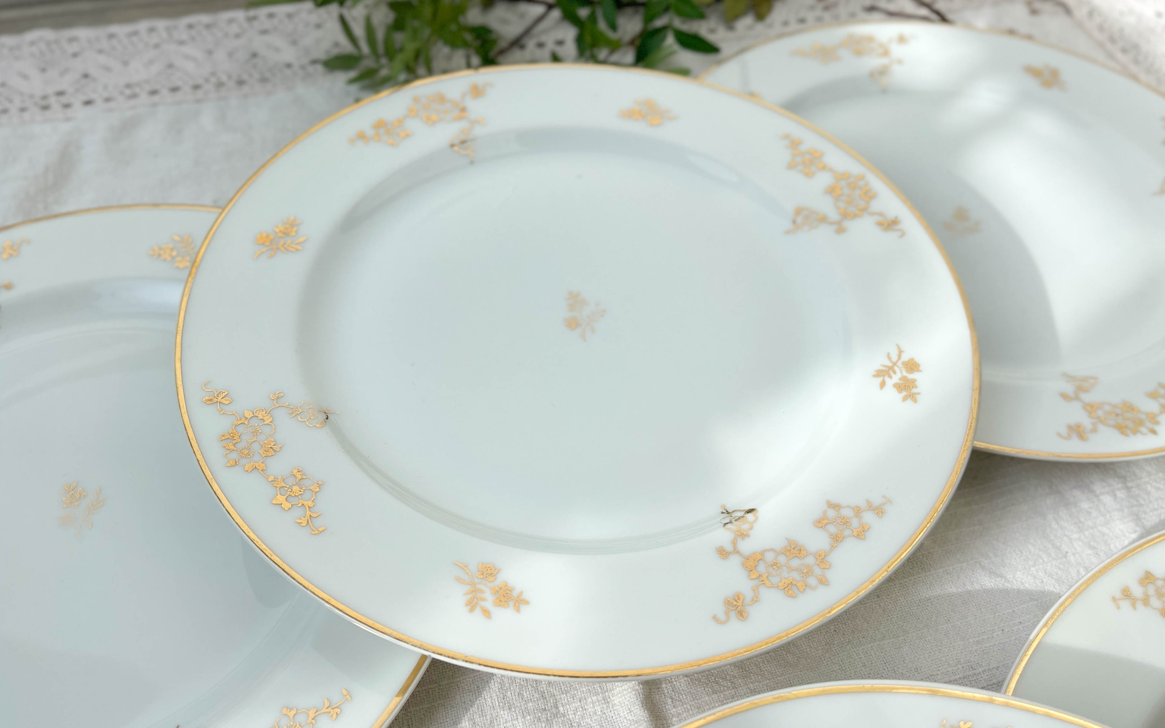 6 flat plates porcelain Limoges golden white