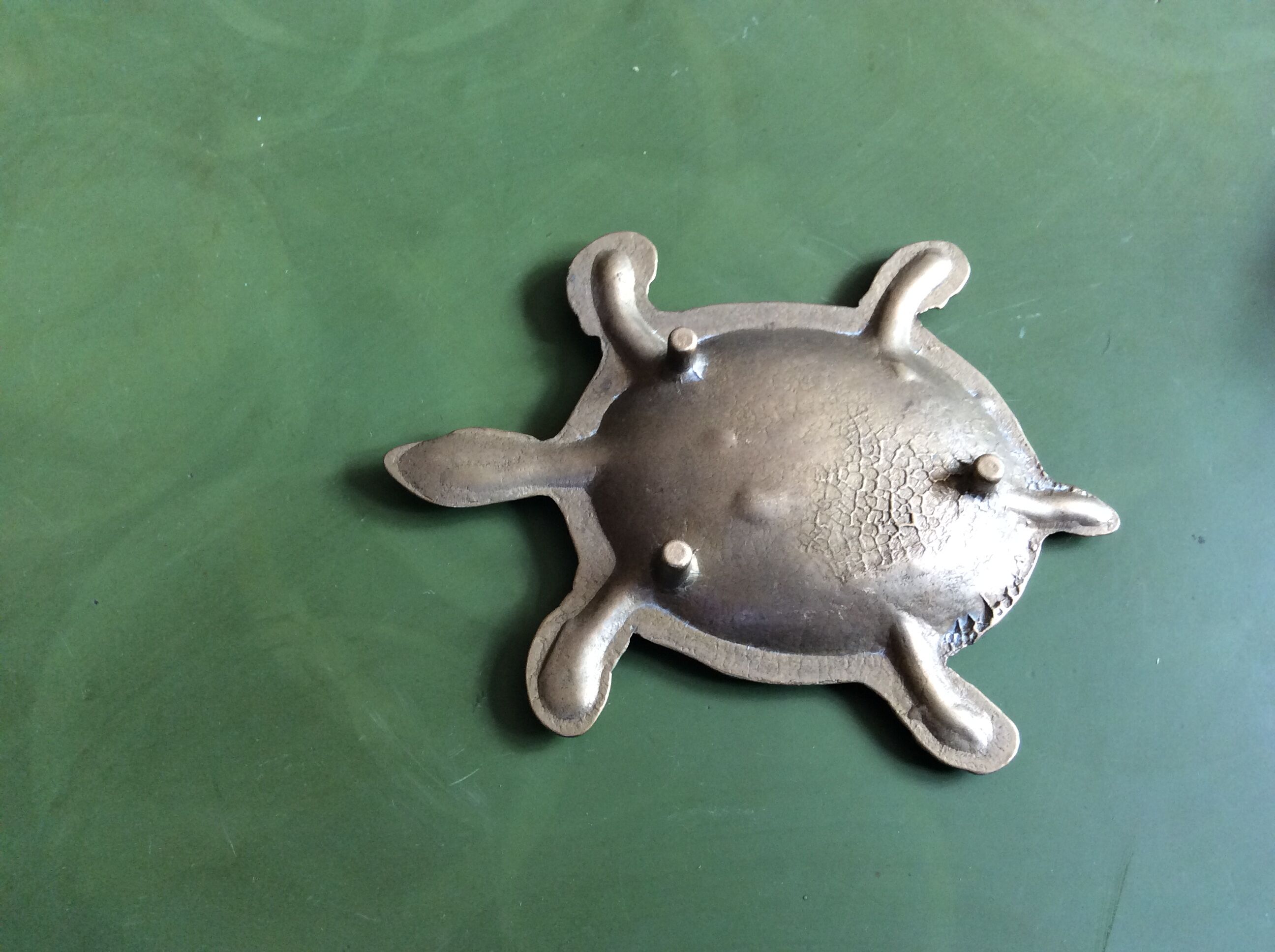 Empty brass turtle pocket