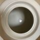 Winterling white porcelain teapot