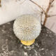 Globe lamp "diamond tips" glass