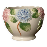 Hydrangea flowerpot