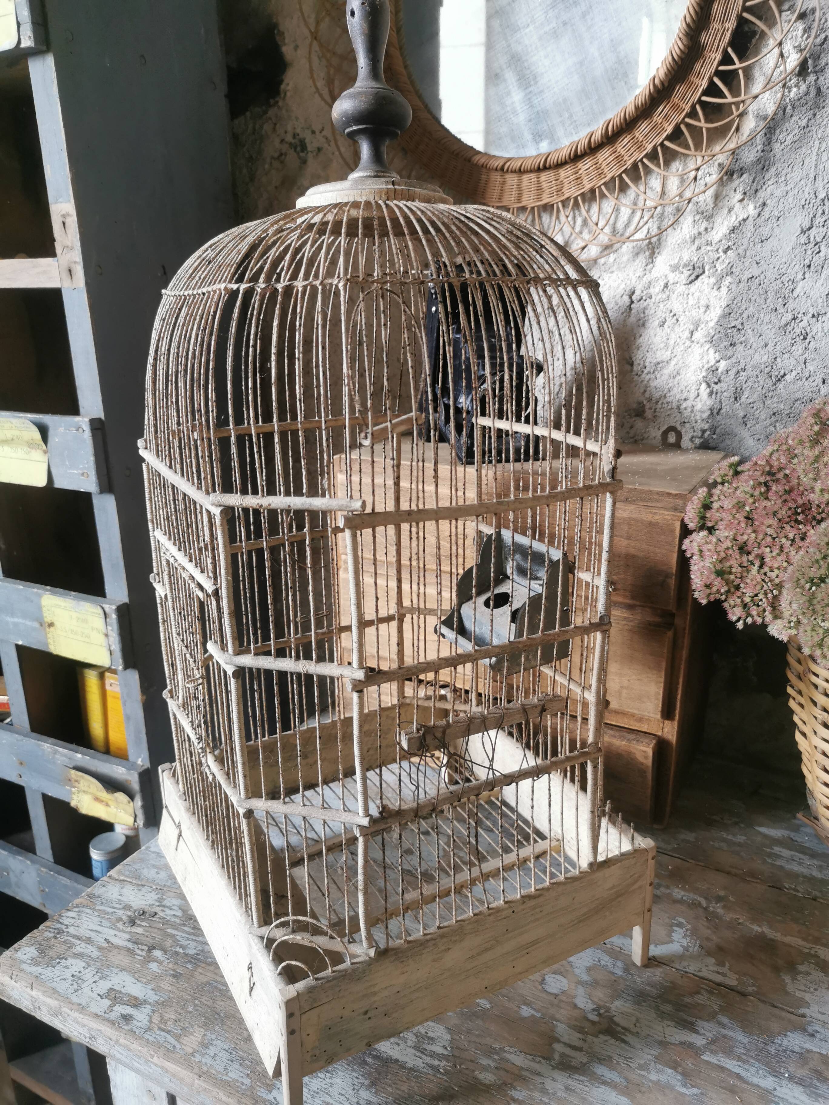 Cage à oiseaux