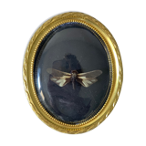 Butterfly under bulging frame