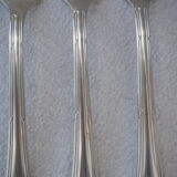 Fish service and its 6 silver-plated cutlery, crossed ribbon model