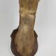 Stuffed and naturalized deer head Taxidermy