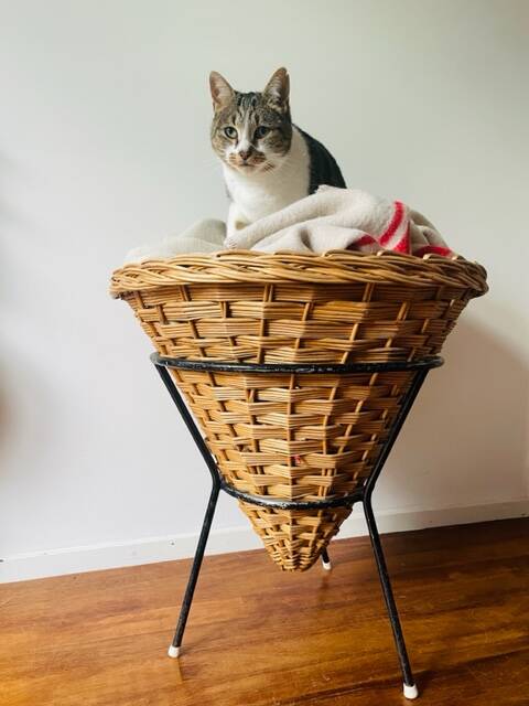 Vintage basket Rohe Noordwolde