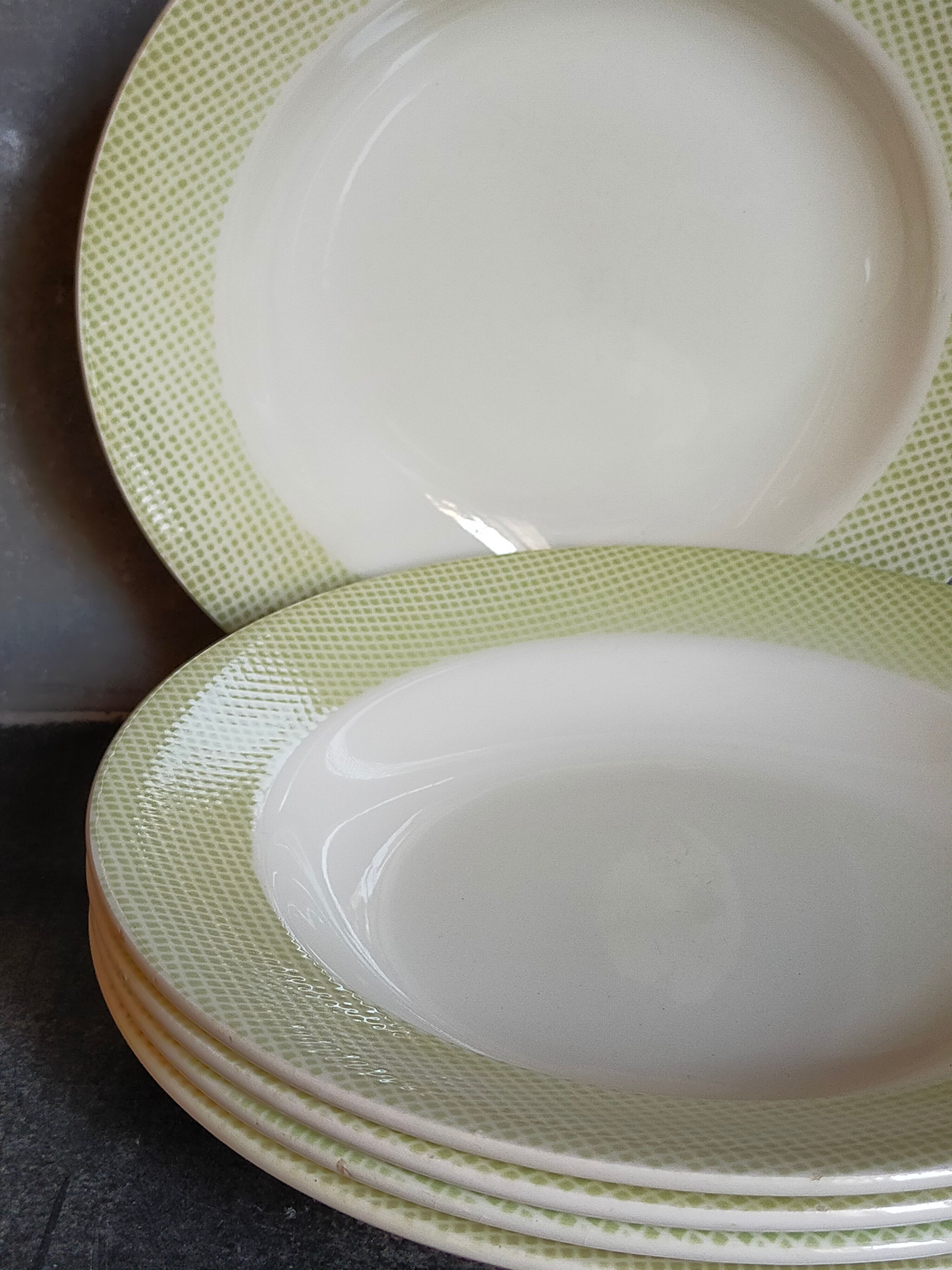 Eight earthenware plates from salins 50s