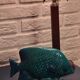 Fish statuette