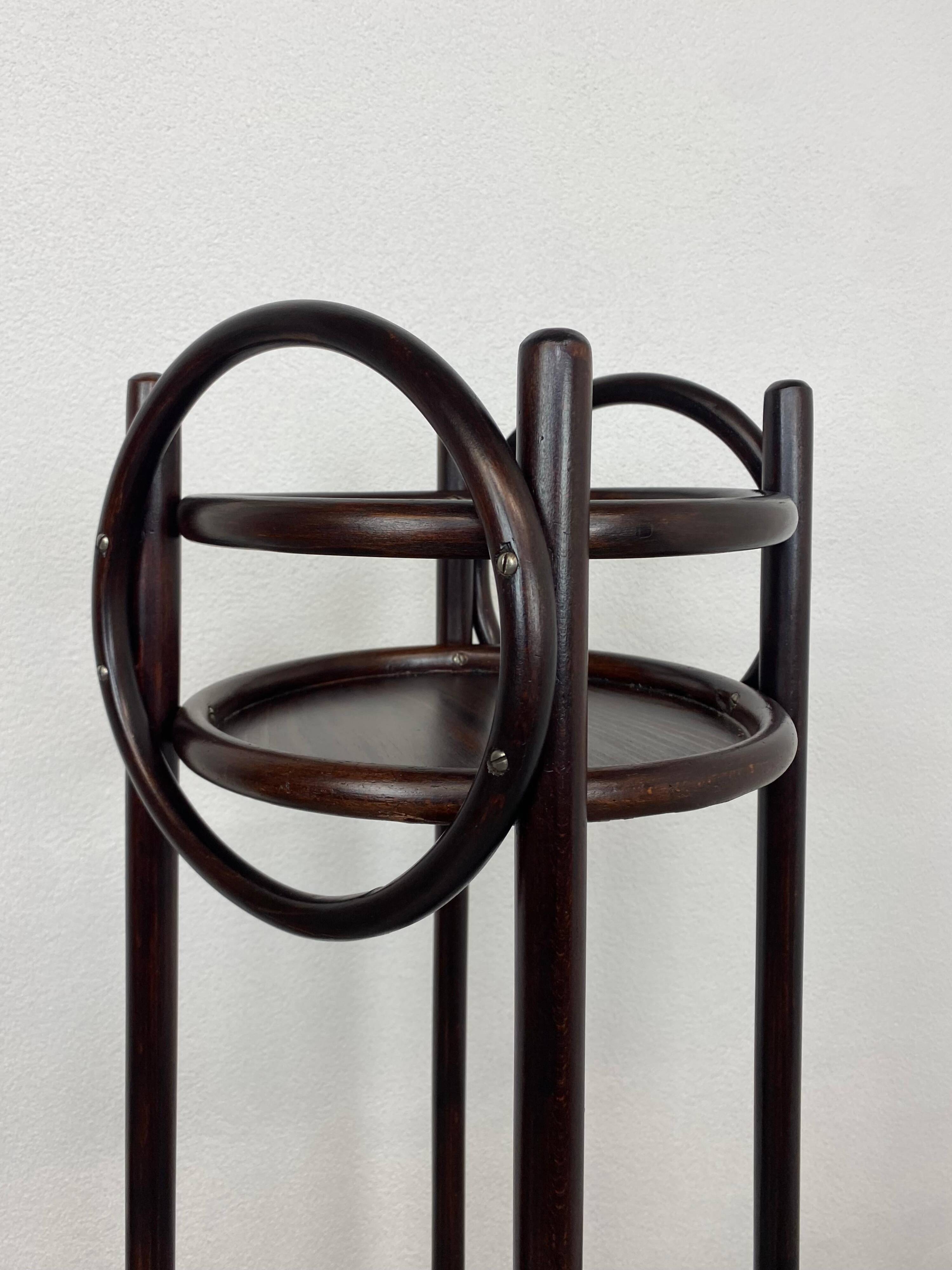 Plant supports in bent wood by Thonet