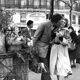 Photograph, “Les jonquilles” Paris, 1954 / Homage to Robert Doisneau / 15 x 20 cm / B&W