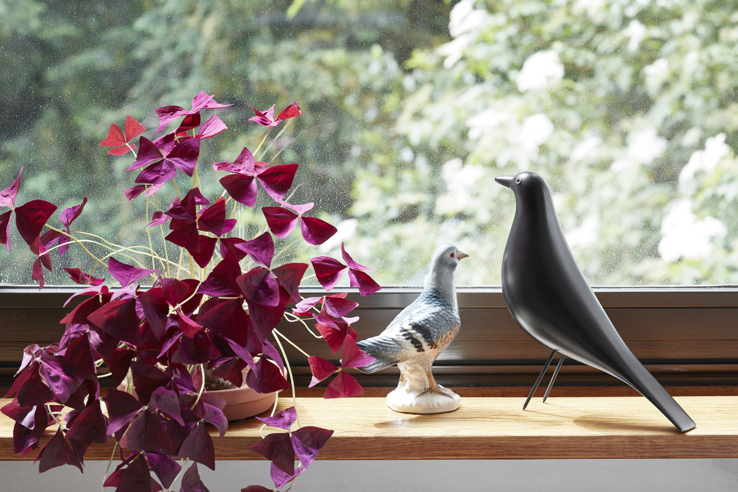 Eames House Bird Charles - Ray Eames