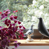 Eames House Bird Charles - Ray Eames