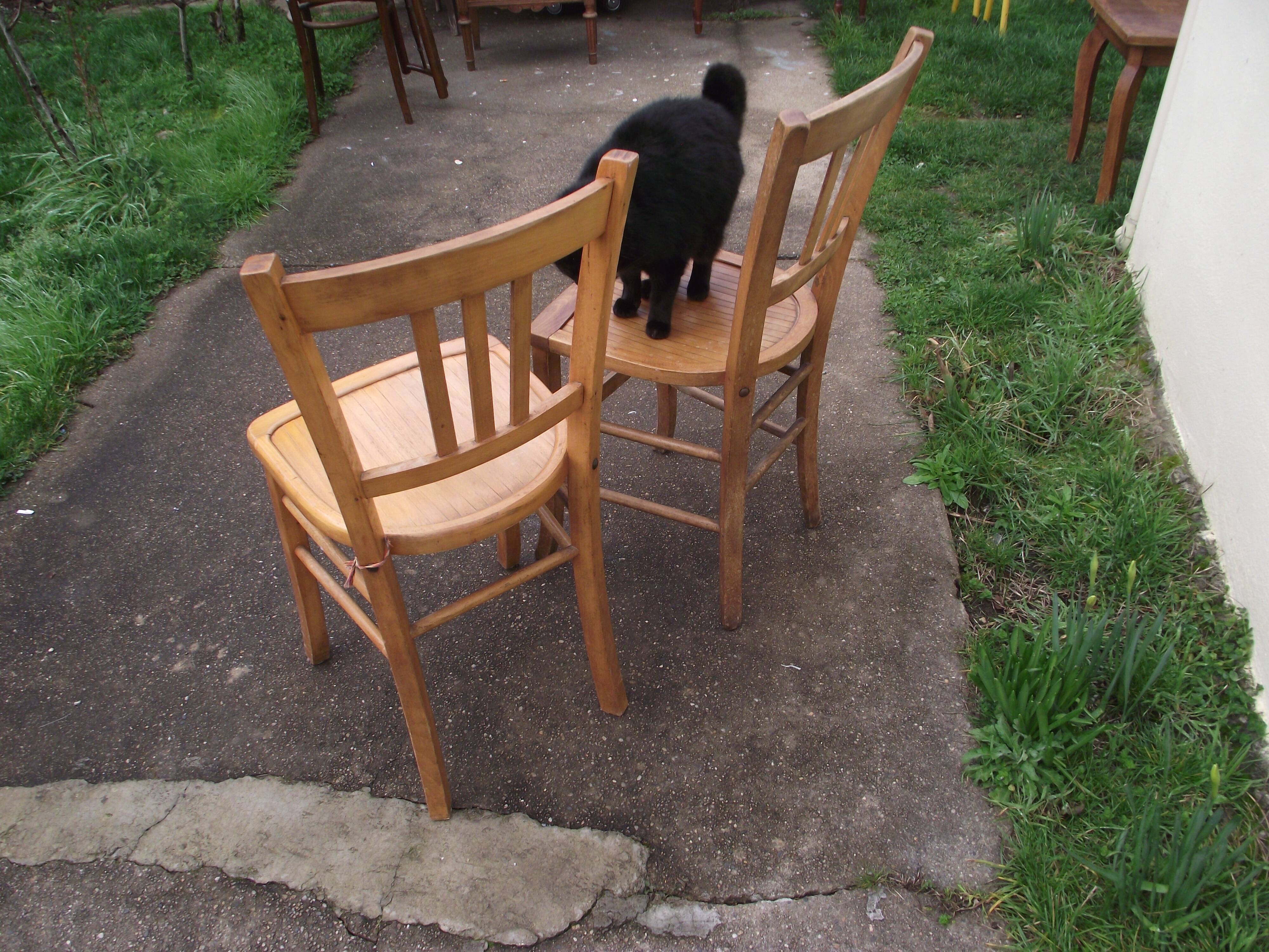 Pair of wooden bistro chairs 1950s 60