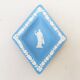 Empty pocket Wedgwood