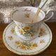 Queen's Fine Bone China March Daffodils with its saucer and spoon