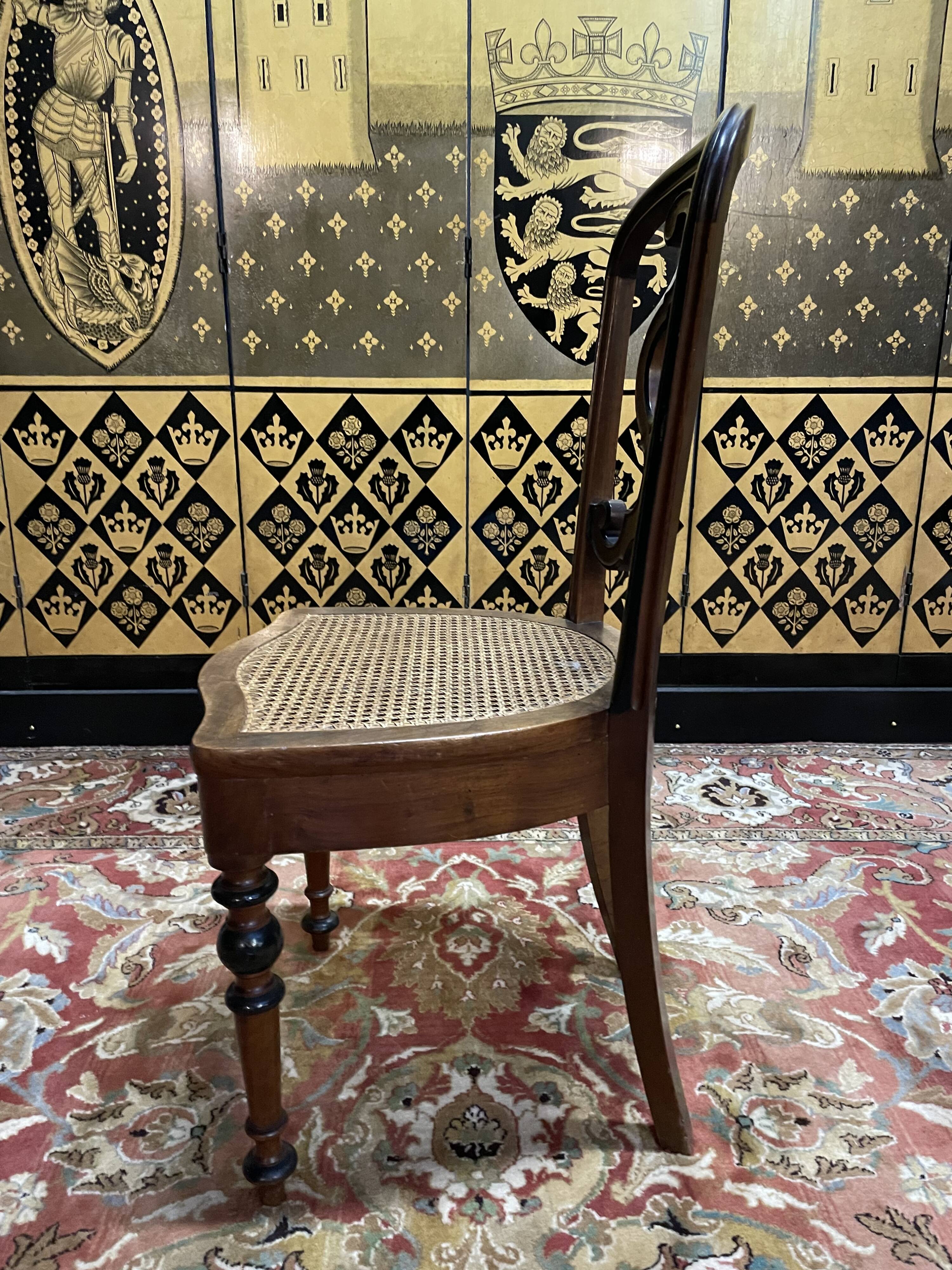 Suite of 6 Napoleon III cane chairs - Louis Philippe