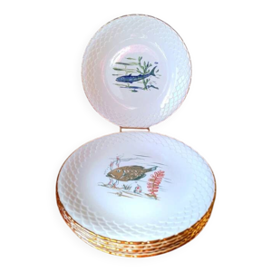 Assiettes poissons en - limoges