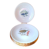 Fish plates in Limoges porcelain