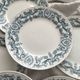 12 flat ironware plates “Louis XVI” Saint Amand and Hamage