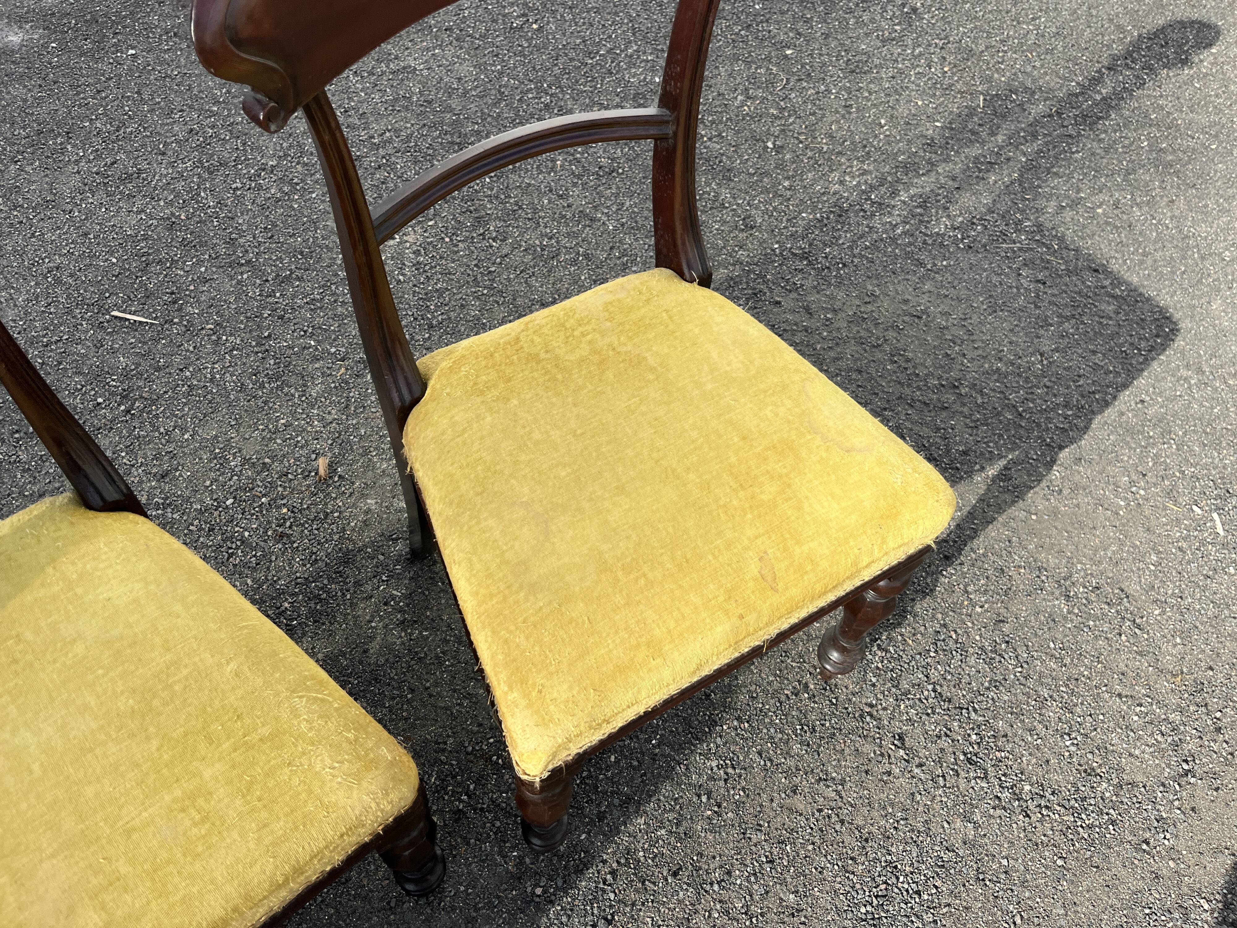 Lot de 3 chaises style victorien – acajou – assise velours jaune