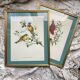 Framed zoological plate of birds