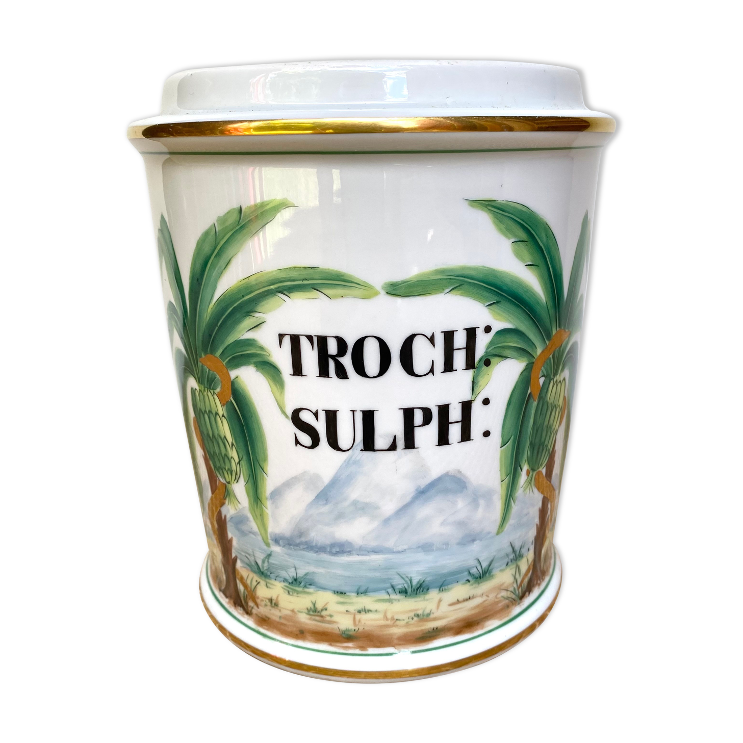 Porcelain apothecary pot