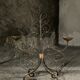 Pair of French wrought iron candelabra from the 19th century.