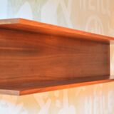 Vintage teak shelf designed by W.Wirz for Wilhelm Renz Germany of the 60s