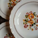 12 assiettes creuses anciennes "Capri "